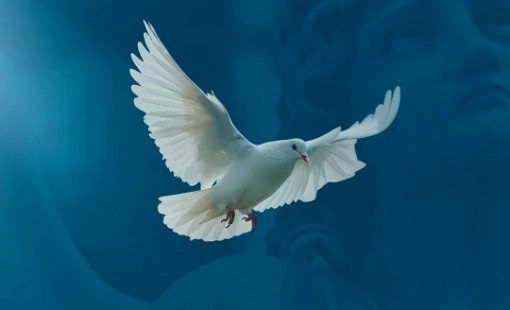 Организация похорон в Череповце